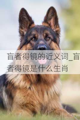 盲者得镜的近义词_盲者得镜是什么生肖