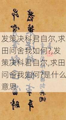 发策决科君自尔,求田问舍我如何?,发策决科君自尔,求田问舍我如何?是什么意思