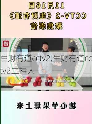 生财有道cctv2,生财有道cctv2主持人