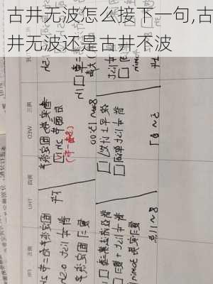 古井无波怎么接下一句,古井无波还是古井不波