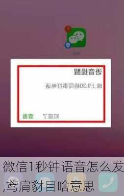 微信1秒钟语音怎么发,鸢肩豺目啥意思