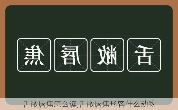 舌敝唇焦怎么读,舌敝唇焦形容什么动物