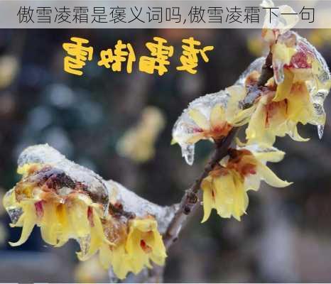 傲雪凌霜是褒义词吗,傲雪凌霜下一句