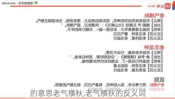 的意思老气横秋,老气横秋的反义词