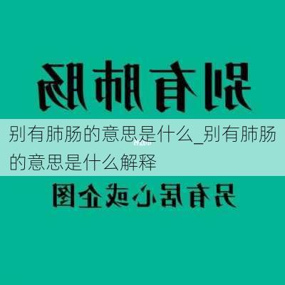 别有肺肠的意思是什么_别有肺肠的意思是什么解释