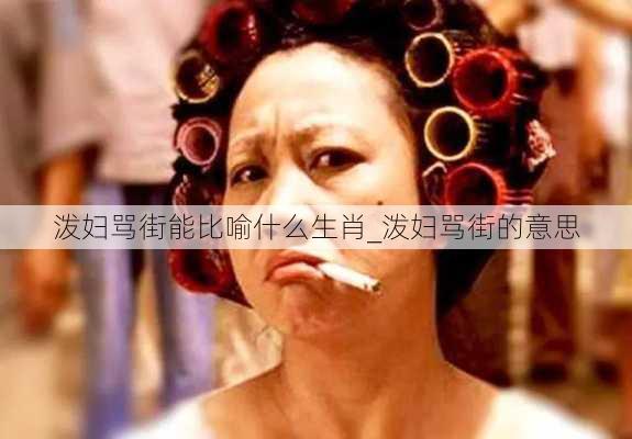 泼妇骂街能比喻什么生肖_泼妇骂街的意思