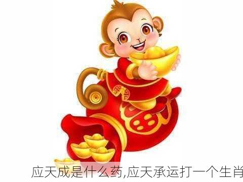 应天成是什么药,应天承运打一个生肖