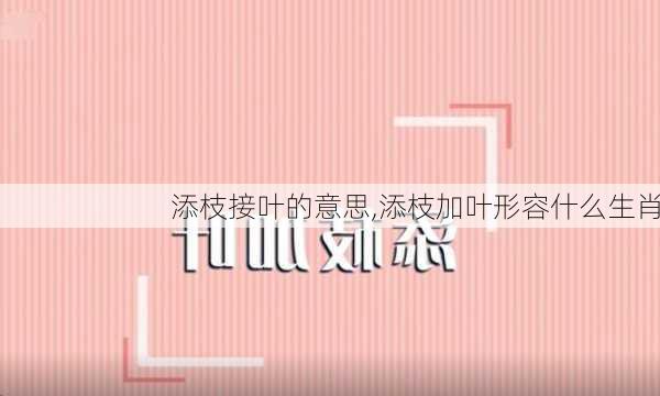 添枝接叶的意思,添枝加叶形容什么生肖