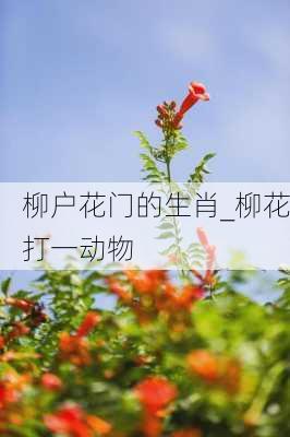 柳户花门的生肖_柳花打一动物