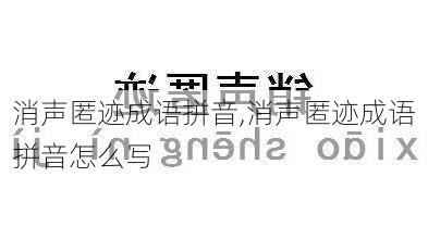 消声匿迹成语拼音,消声匿迹成语拼音怎么写