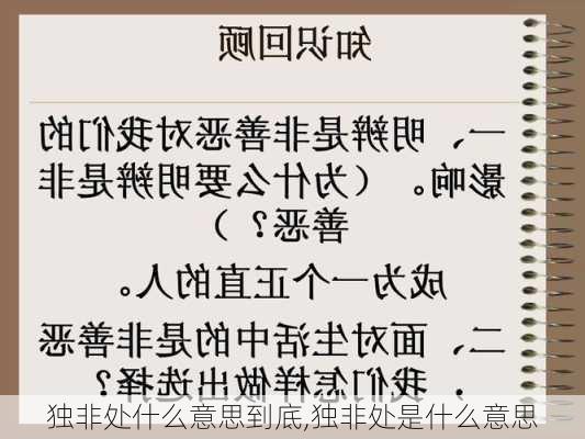 独非处什么意思到底,独非处是什么意思