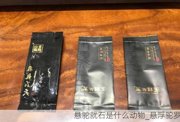 悬驼就石是什么动物_悬浮驼罗