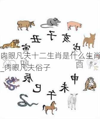 肉眼凡夫十二生肖是什么生肖_肉眼凡夫俗子