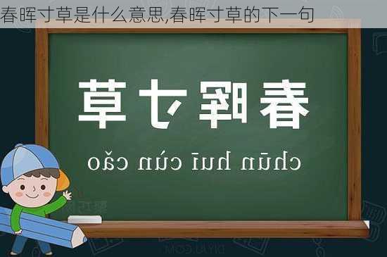 春晖寸草是什么意思,春晖寸草的下一句