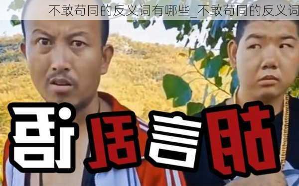 不敢苟同的反义词有哪些_不敢苟同的反义词