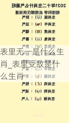 表里无一是什么生肖_表里受敌是什么生肖