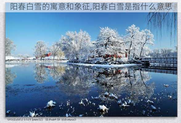 阳春白雪的寓意和象征,阳春白雪是指什么意思