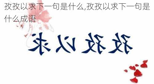 孜孜以求下一句是什么,孜孜以求下一句是什么成语