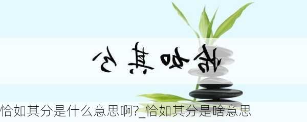 恰如其分是什么意思啊?_恰如其分是啥意思