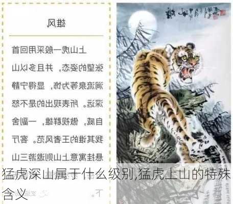 猛虎深山属于什么级别,猛虎上山的特殊含义