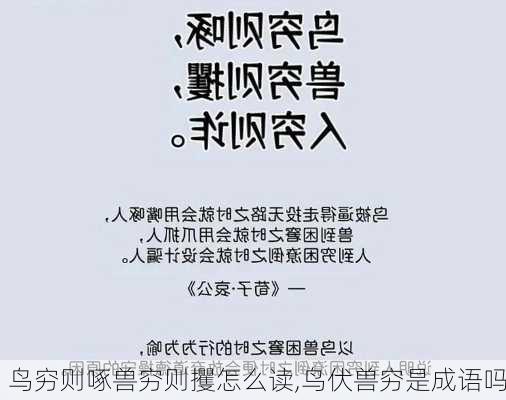 鸟穷则啄兽穷则攫怎么读,鸟伏兽穷是成语吗