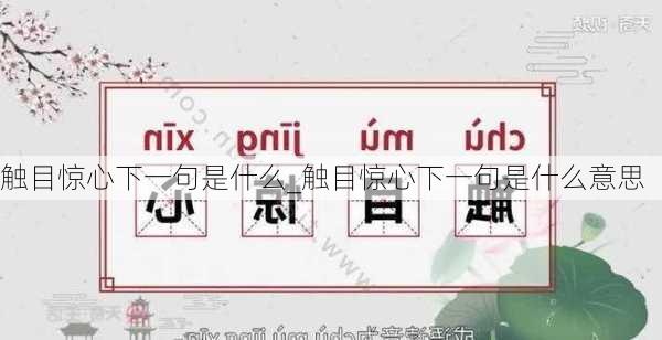 触目惊心下一句是什么_触目惊心下一句是什么意思