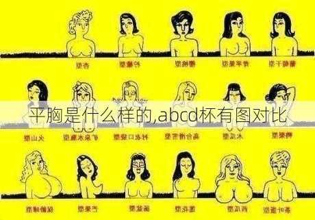 平胸是什么样的,abcd杯有图对比