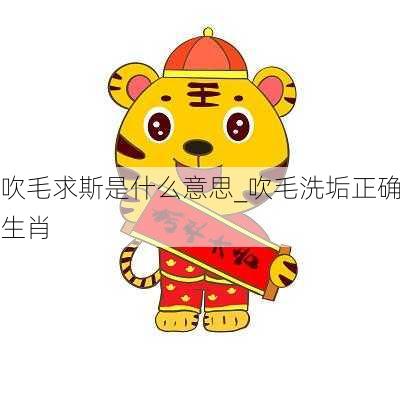 吹毛求斯是什么意思_吹毛洗垢正确生肖