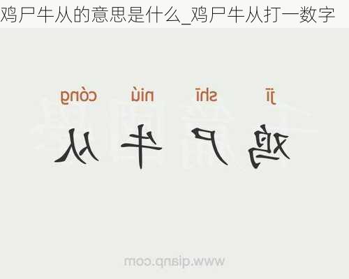 鸡尸牛从的意思是什么_鸡尸牛从打一数字