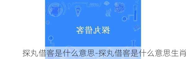 探丸借客是什么意思-探丸借客是什么意思生肖